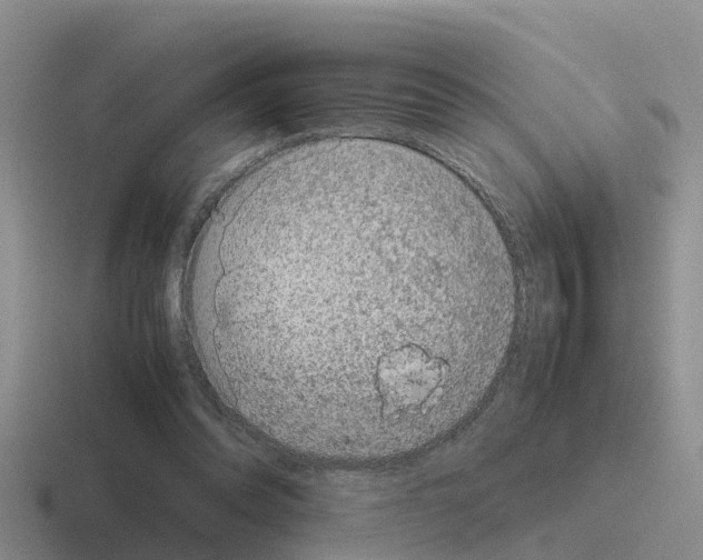 X0000116100302201001040957