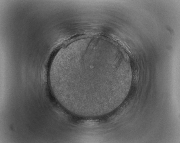 X0000116100303201001040957