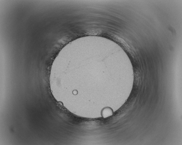 X0000116100307201001040957