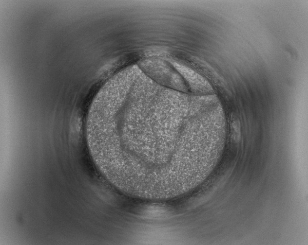 X0000116100308201001040957