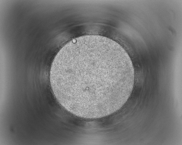 X0000116100309201001040957