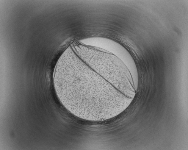 X0000116100312201001040957