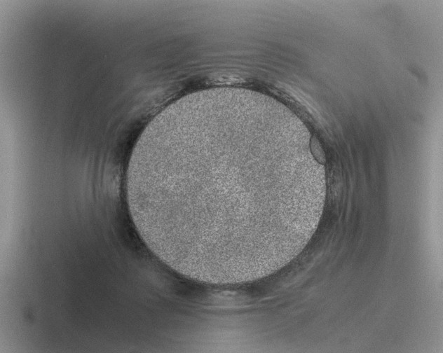 X0000116100315201001040957