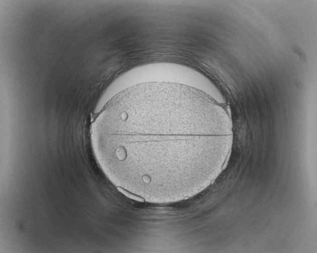 X0000116100316201001040957