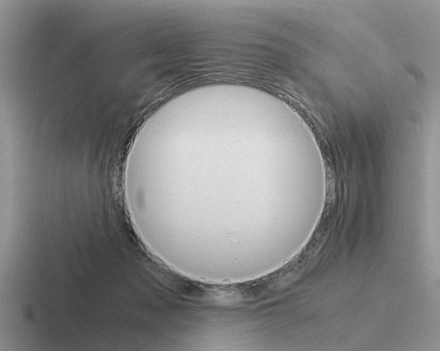 X0000116100317201001040957