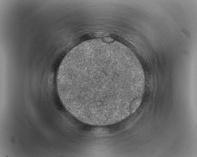 X0000116100319201001040957