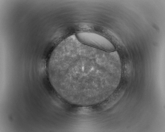 X0000116100320201001040957