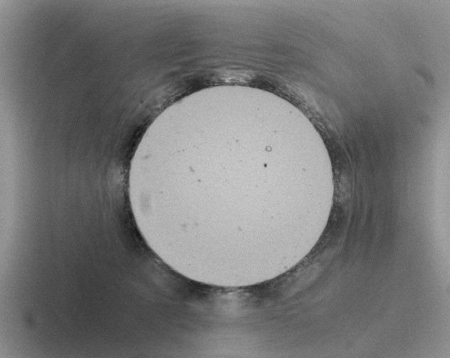 X0000116100321201001040957