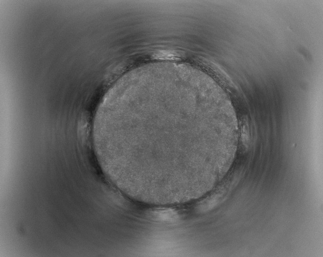 X0000116100322201001040957