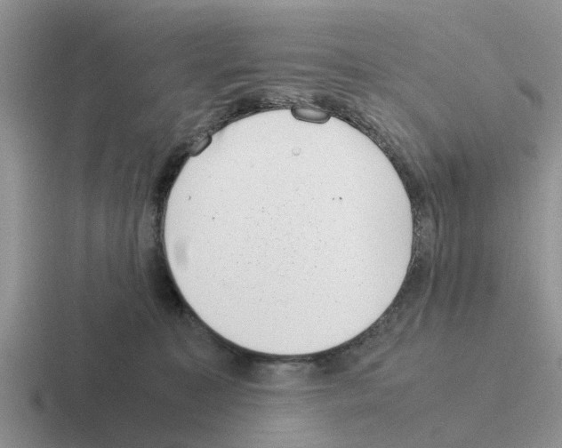 X0000116100323201001040957