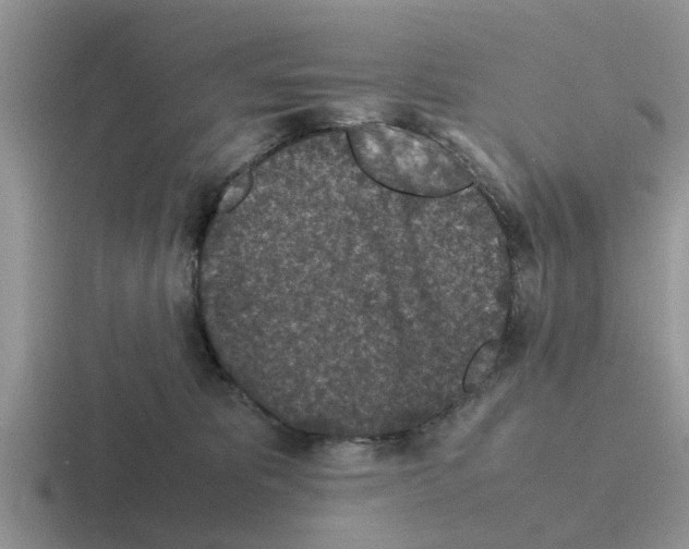 X0000116100325201001040957