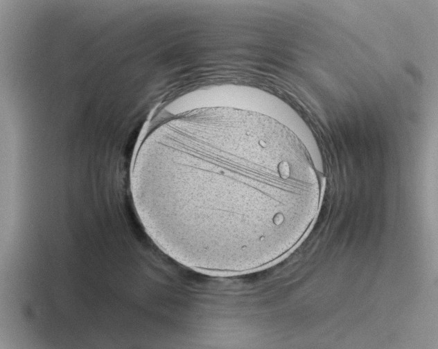 X0000116100328201001040957