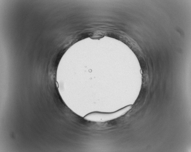 X0000116100329201001040957