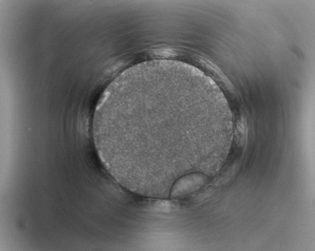 X0000116100330201001040956