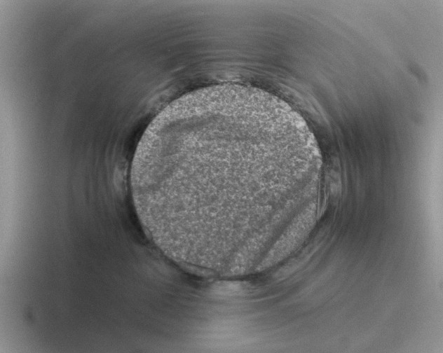 X0000116100332201001040956