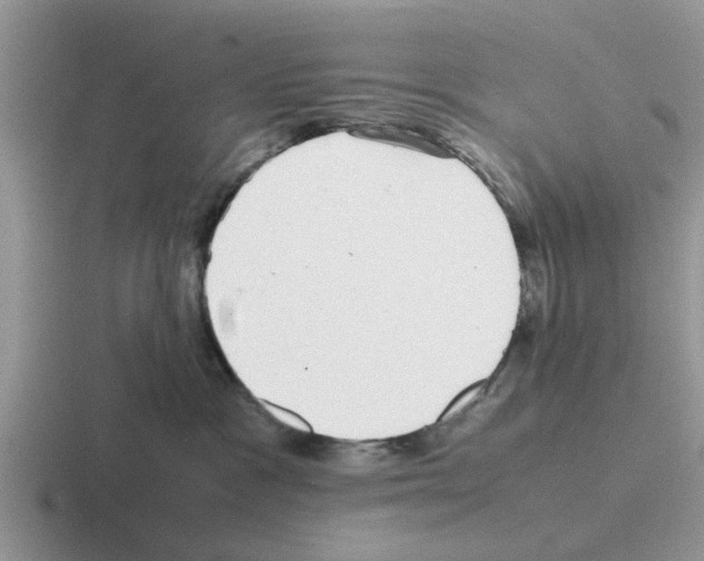 X0000116100333201001040956