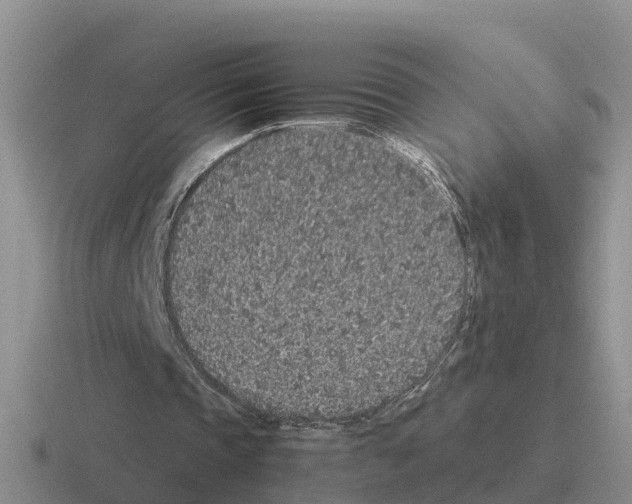 X0000116100337201001040956