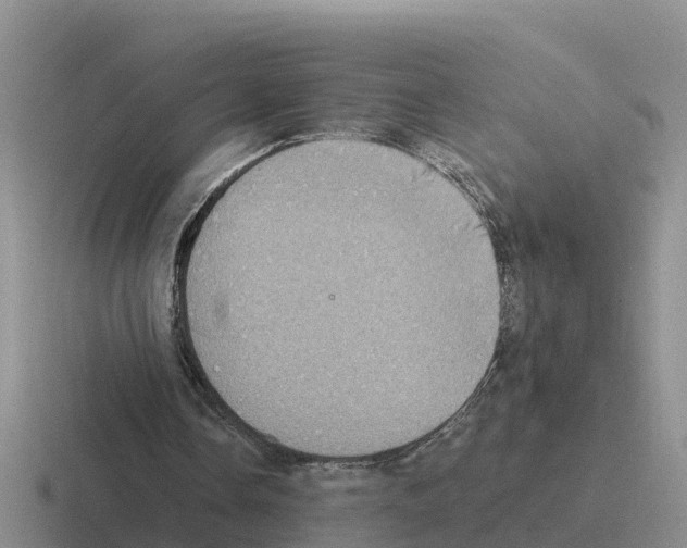 X0000116100338201001040956