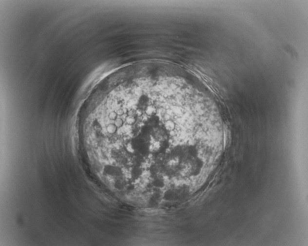 X0000116100339201001040956