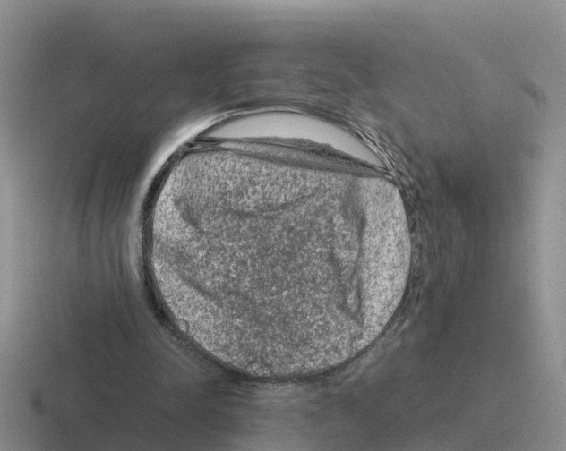 X0000116100342201001040956