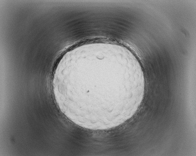 X0000116100345201001040956