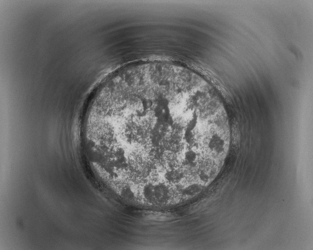 X0000116100347201001040956