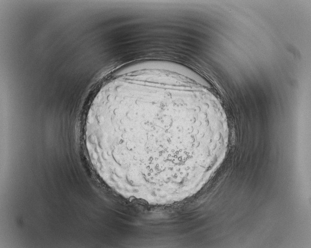 X0000116100349201001040956