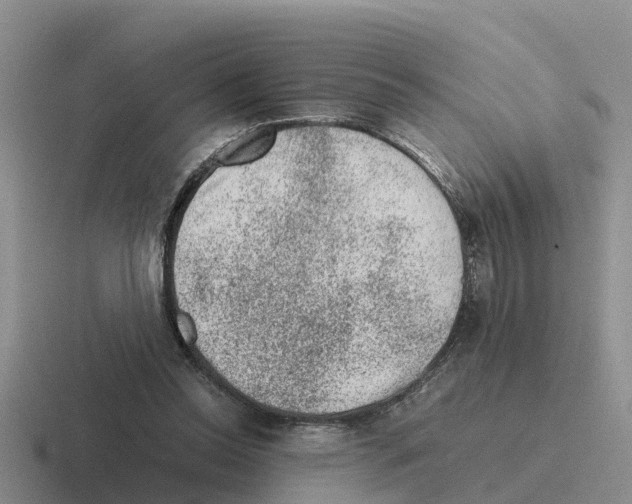 X0000116100350201001040956