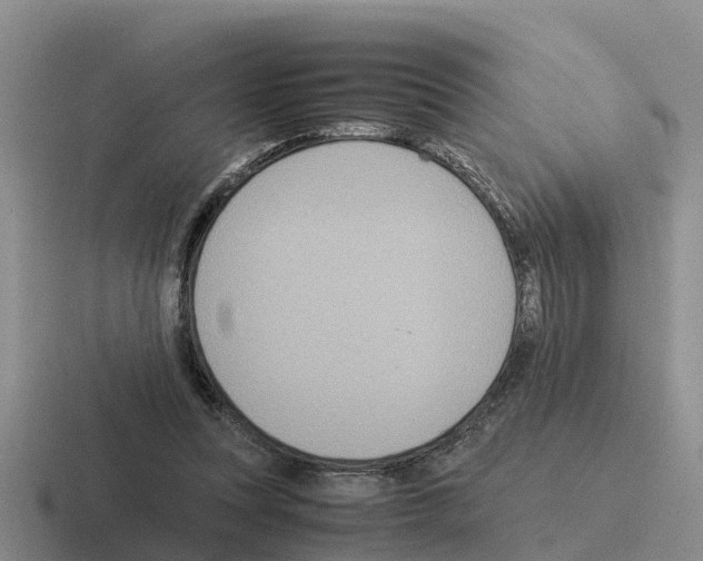 X0000116100351201001040956