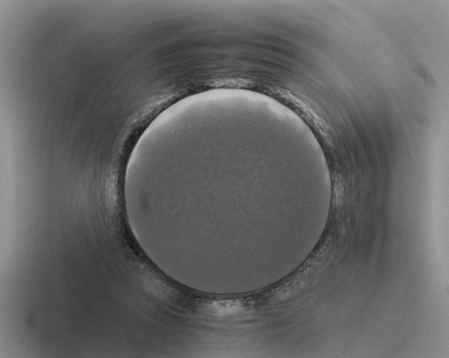 X0000116100353201001040956