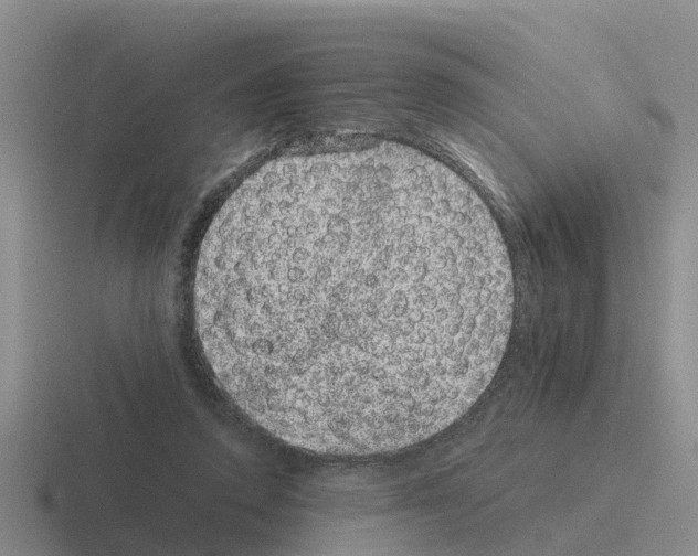 X0000116100354201001040956