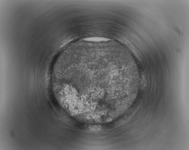 X0000116100355201001040956