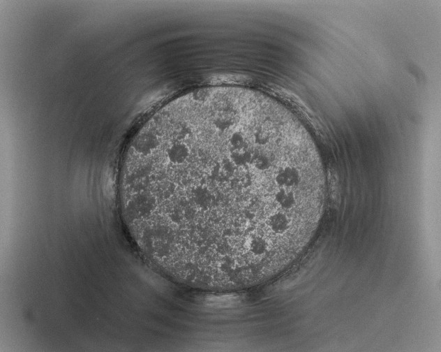 X0000116100357201001040956