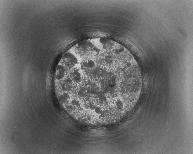 X0000116100359201001040956