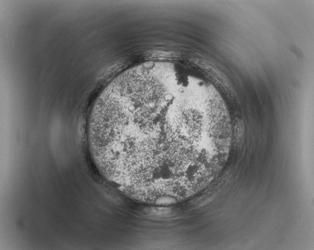 X0000116100361201001040956