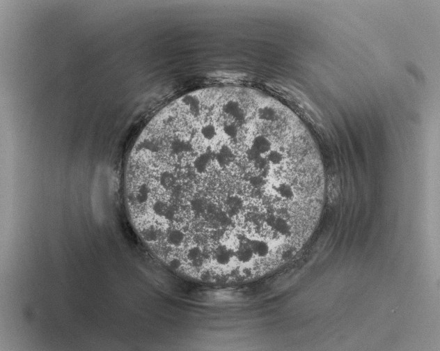 X0000116100365201001040956