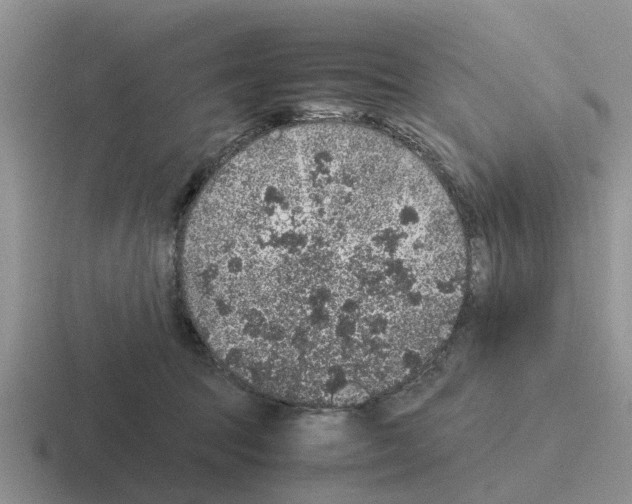 X0000116100369201001040956