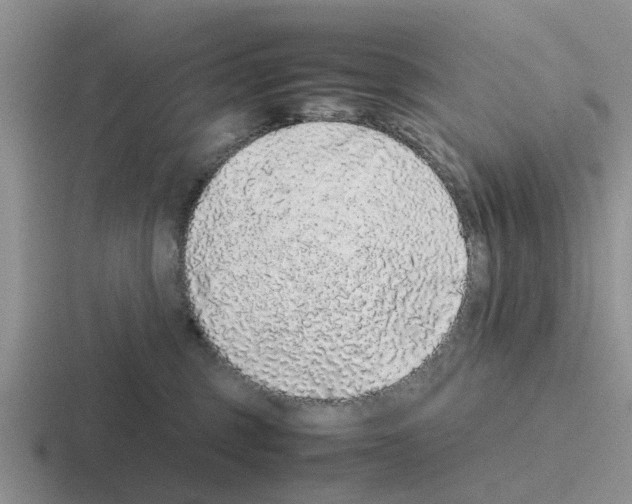 X0000116100375201001040956