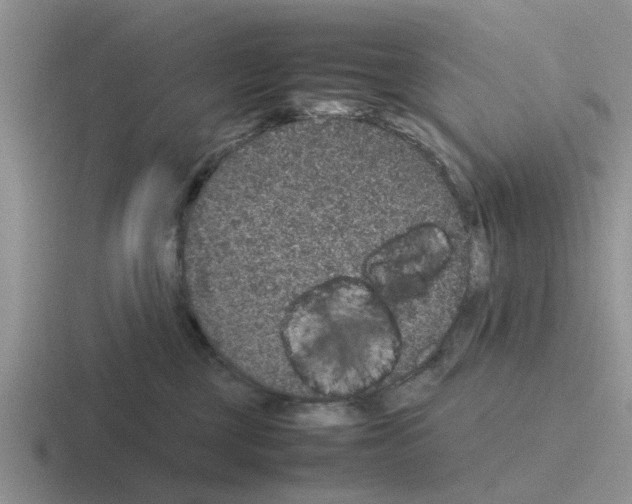 X0000116100377201001040956