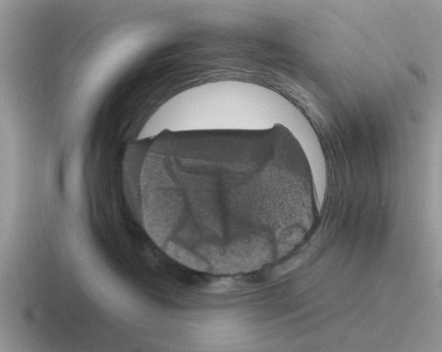 X0000116100382201001040956