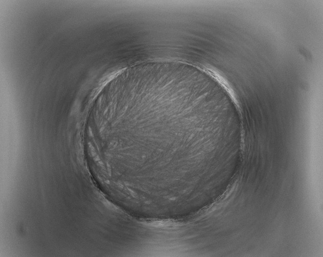 X0000116100385201001040956