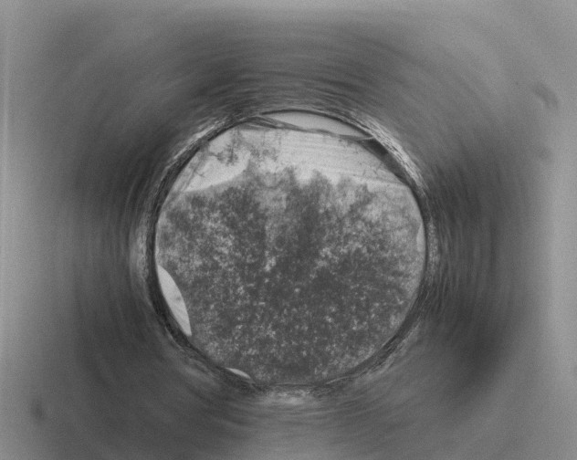 X0000116100386201001040956