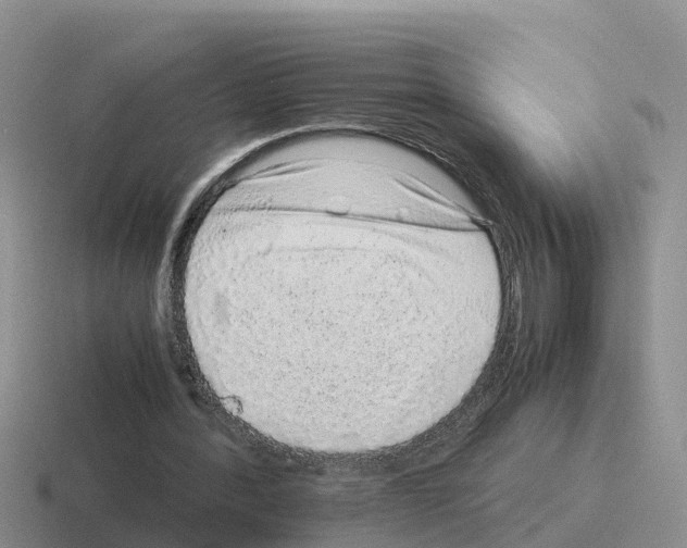 X0000116100388201001040956