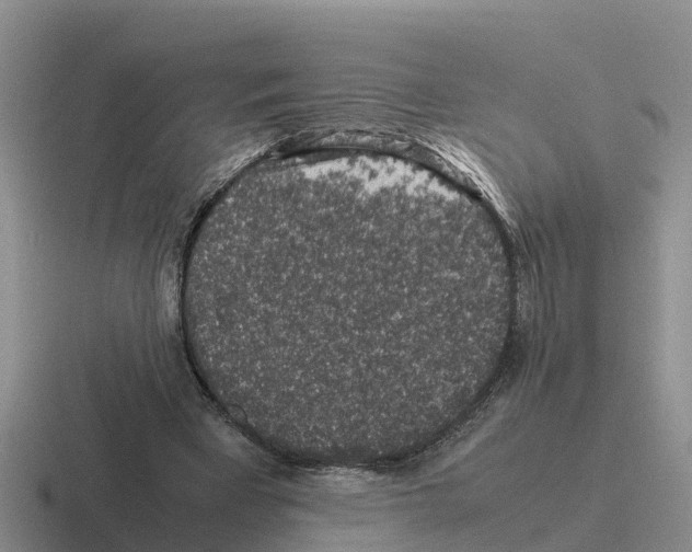 X0000116100393201001040956