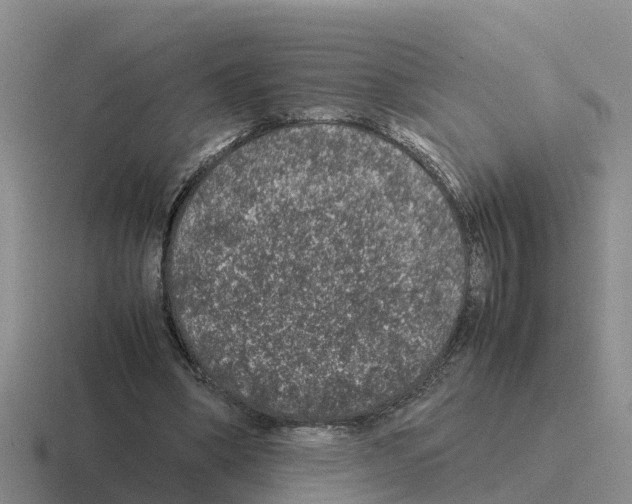 X0000116100394201001040956