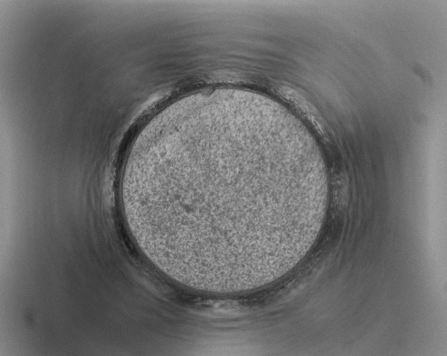 X0000116100395201001040956