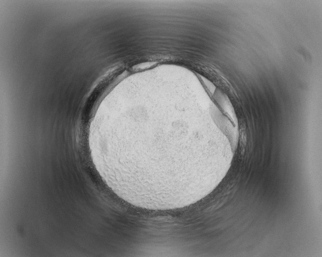 X0000116100396201001040956