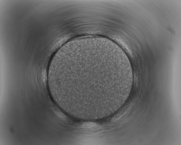 X0000116100397201001040956