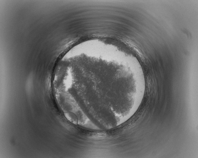 X0000116100398201001040956