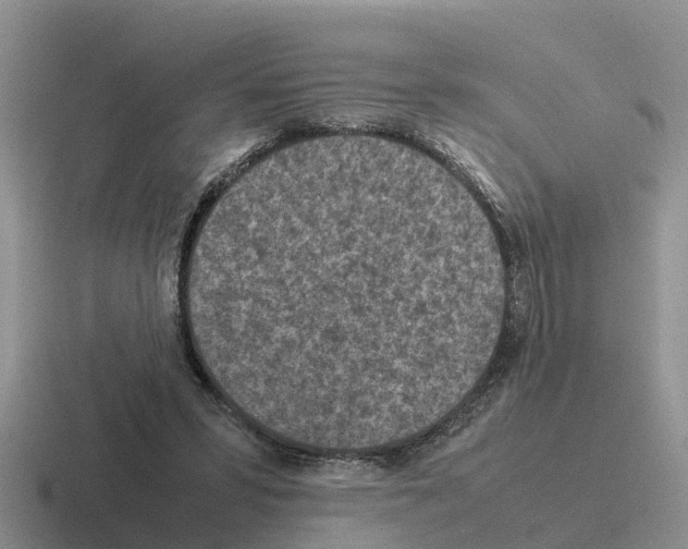 X0000116100399201001040956